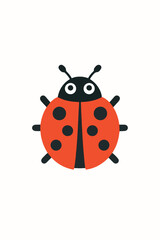 ladybug on white background