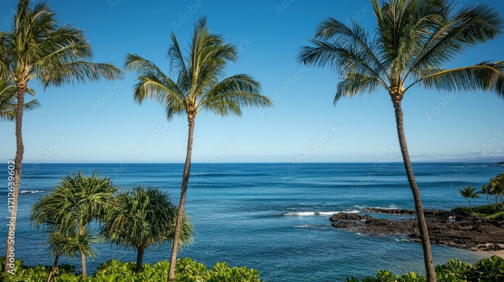 Poster scenic ocean view with palm trees.