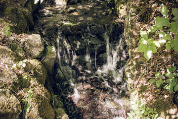 Small waterfall gently cascading over mossy stones in forest stream