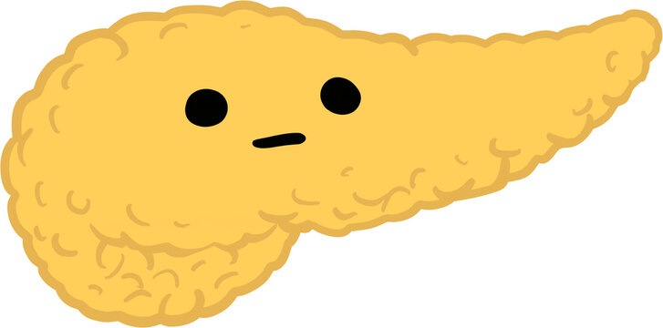 췌장