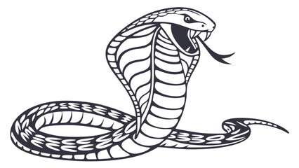 Fototapeta premium snake in the snake