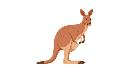 Cartoon kangaroo standing upright, brown fur, visible pouch, flat vector illustration style