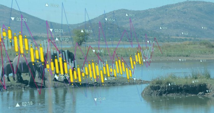 Fototapeta Gathering elephants drinking at muddy wetland watering hole, displaying financial chart overlays
