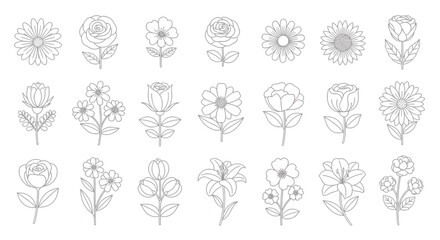 Set of Hand Drawn Flowers and Floral Elements Line Art Botanical Illustration for Design