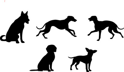 silhouette dog breed postures act black dog breed shapes monochrome color vector