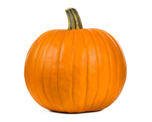 pumpkin on white background