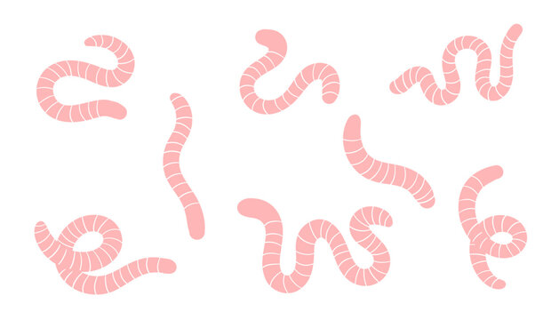 Pink worms set. Hand drawn striped curvy creatures in various shapes and positions. Funny cartoon style wiggly animals collection. Flat nature vector illustration isolated on white.