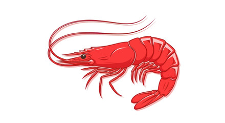 Vibrant red cooked shrimp with long antennae illustration.