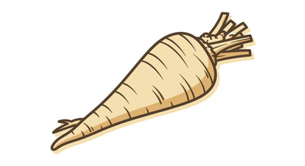 Hand drawn parsnip root vegetable illustration isolated on white.