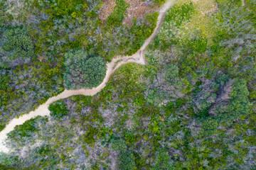 Drone aerial photograph of a dirt walking track lined with lush foliage going over a sand dune to a public beach in the Illawarra region of NSW, Australia.