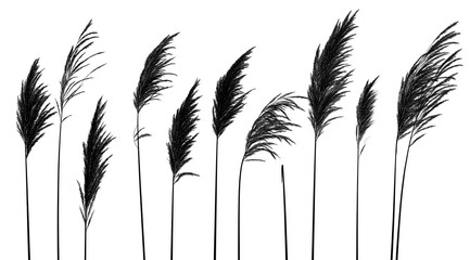 Realistic black grass silhouette isolated on transparent or white background. Perfect for seamless nature designs, landscapes, borders, and decorative projects.