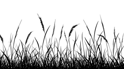 Realistic black grass silhouette isolated on transparent or white background. Perfect for nature, landscape, garden designs, borders, decorative, and eco-themed projects.