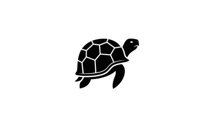 Black and white silhouette of a turtle with a patterned shell.