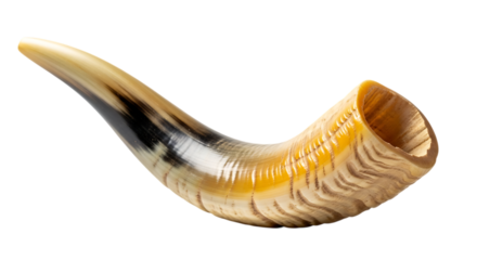Shofar (horn) on Transparent Background