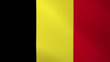The Belgian flag flutters in the wind, against a looped background. The flag flutters in the wind. Concept of the national day and holidays in the country.