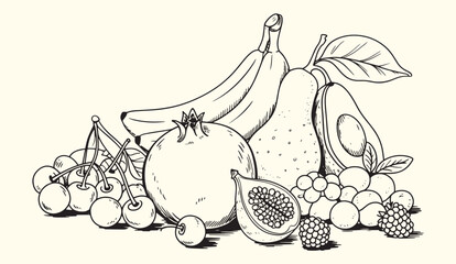 Minimalist hand drawn sketch fruits vector