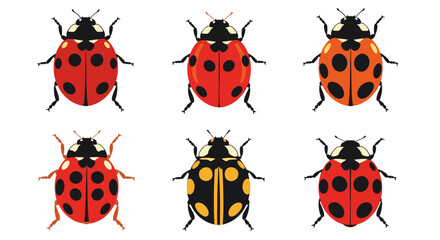 Collection of Six Different Ladybugs Isolated on White Background.