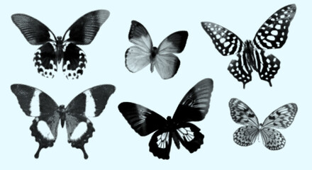 A set of tropical butterflies with a halftone effect. Vector illustration on a light background. Black silhouettes with texture. Elements for scrapbooking, design, and decoration.