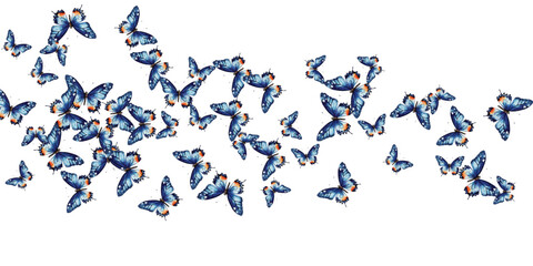 Naklejka premium Adobe Illustrator Artwork