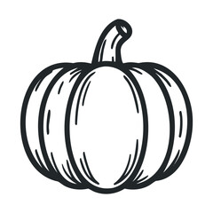 Drawing of a pumpkin for autumn harvest decoration and themes. Vector line illustration