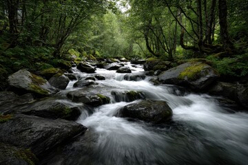 Lush Forest Stream with Mossy Rocks and Flowing Water
