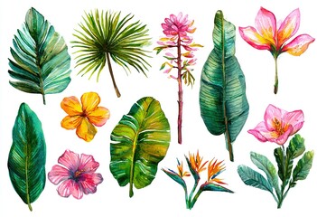 Hand drawn watercolor tropical flower set . Exotic palm leaves, jungle tree, brazil tropic botany elements and flowers. Perfect for fabric design. Aloha design. High quality