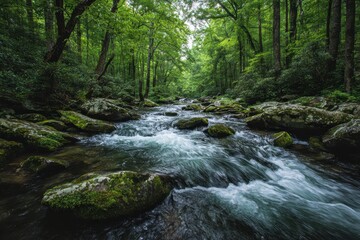 Fototapeta premium Lush Forest Stream with Mossy Rocks and Flowing Water