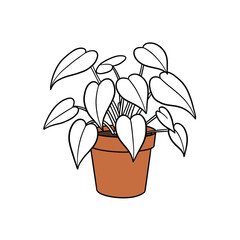 Potted heart-shaped leaf plant line art hand-drawn style simple botanical drawing studio shot isolated on white background