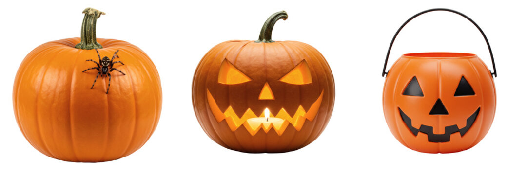 Pumpkin bucket, Spider on pumpkin, Jack-o'-lantern isolated on transparent background   - Powered by Adobe