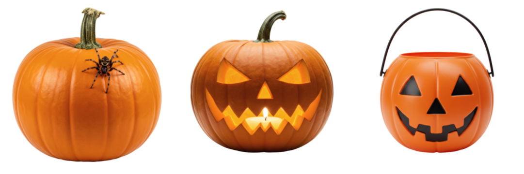 Pumpkin bucket, Spider on pumpkin, Jack-o'-lantern isolated on transparent background - Powered by Adobe