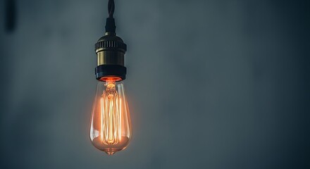 Vintage Edison Bulb - Warm Glow and Industrial Charm.