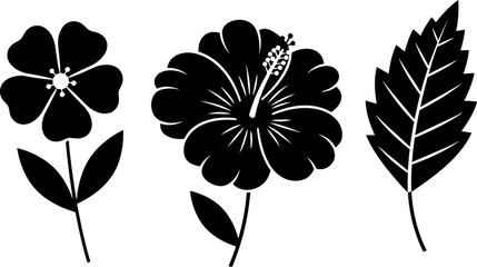 Monochromatic botanical silhouettes of a hibiscus flower and two other floral elements on a