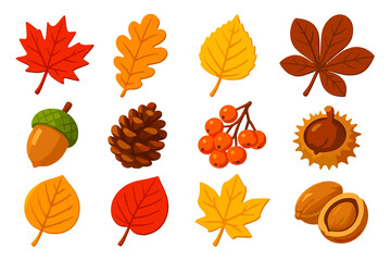 Vibrant Autumn Leaves Collection. Isometric vector illustration set of vibrant autumn nature: scarlet maple leaf, amber oak leaf,