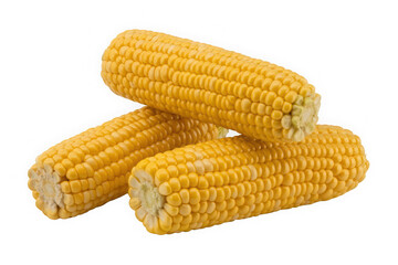 Three ears of sweet corn arranged on a white background representing summer harvest healthy eating and simple food photography