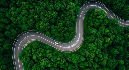 An aerial view of a winding road through a dense green forest © MDSABBIR