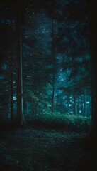 Obraz premium Close-up night forest clearing