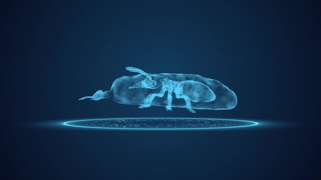 Termite pest scanning effect in HUD scan motion animation on dark blue screen for detecting problem solution