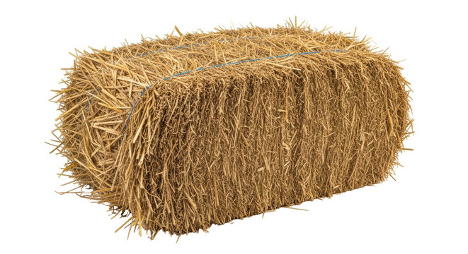 Isolated Hay bale, traditional animal feed, used for animal bedding and to control erosion