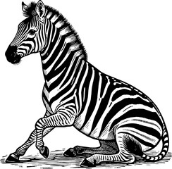 ZEBRA-5.eps