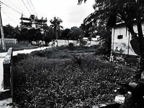 old abandoned farm