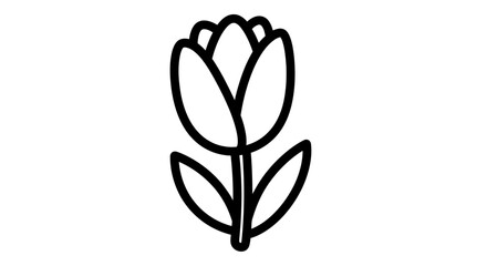 Fototapeta premium Simple black line drawing of a tulip flower.