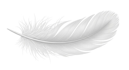 Isolated light feather with textured patterns creating soft, graceful shapes in neutral hues