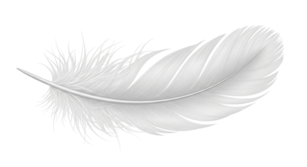 Isolated light feather with textured patterns creating soft, graceful shapes in neutral hues