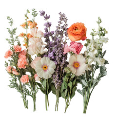Obraz premium Floral Arrangement on White Background isolated on white or transparent background, png clipart, design element. Easy to place on any other background.