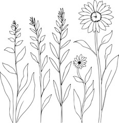 Naklejka premium Minimalist Botanical Line Art of Wildflowers and Herbs – Elegant Floral Outline Illustration