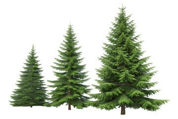 Fototapeta premium PNG transparent image of evergreen fir trees, perfect for Christmas design, winter landscapes, seasonal decorations, and eco projects.
