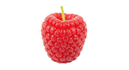 Isolated raspberry fruit with the green stem on top, fresh healthy food berry snack
