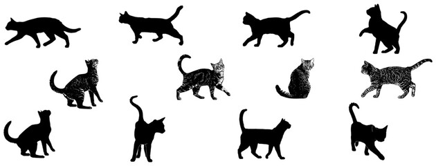 Silhouette black cats set on white background