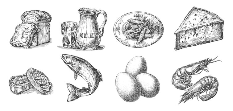 Set of food - bread, milk, pasta, cheese, raw meat, fish, eggs and prawns seafood illustrations that look like etched or engraved vintage printmaking drawings. Generative AI