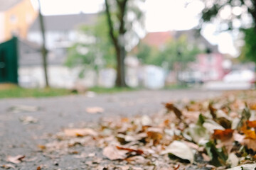 Autumn or fall city. Fall background with cityscape. Autumn leaves. 